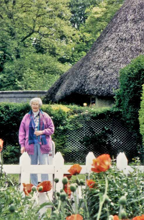 thatched roof houses